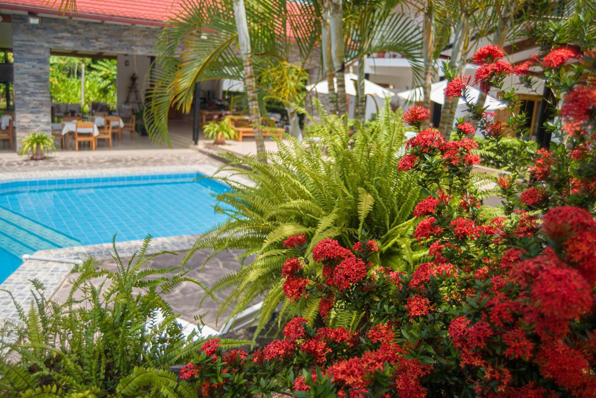 Hotel Colina De Montalva Tarapoto Exterior foto